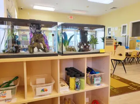 109 Preschool Classroom 19 Web