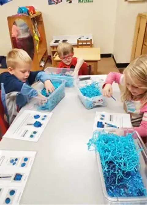 141 Curriculum Showcase 5 Web