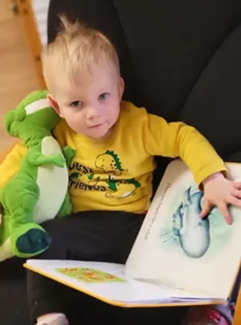 164 Reading Books Dinosaurs Web