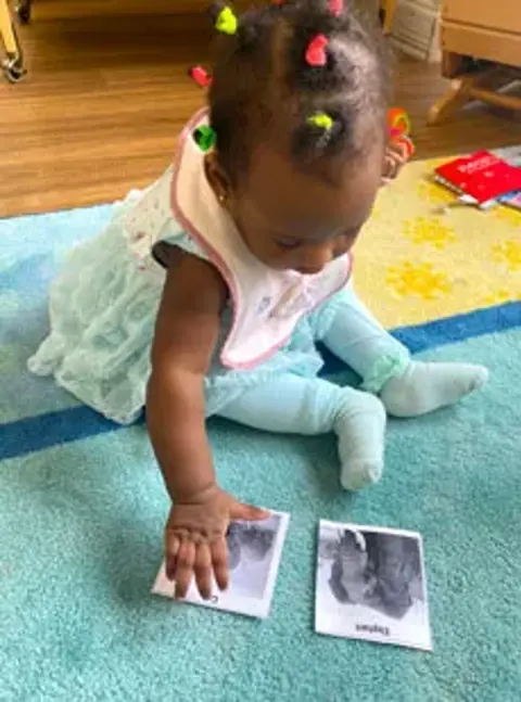 164 Seeds Of Literacy Have You Seen My Duckling 2 Web