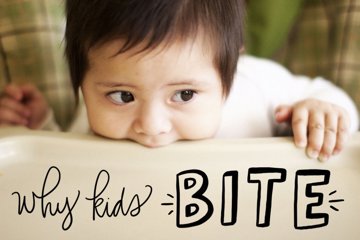 Umbraco.Cms.Core.Models.Blocks.BlockGridModel